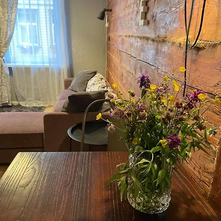 公寓 Cozy With Private Bedroom